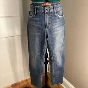 Joe’s Jeans The Audrey Retro Ankle Jeans